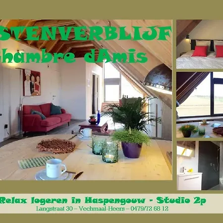 Apartment Damis - Geniet Haspengouw, Buiten En Binnen! Heers