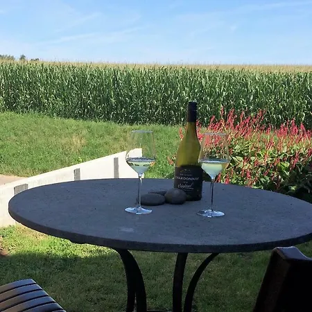 Damis - Geniet Haspengouw, Buiten En Binnen! *